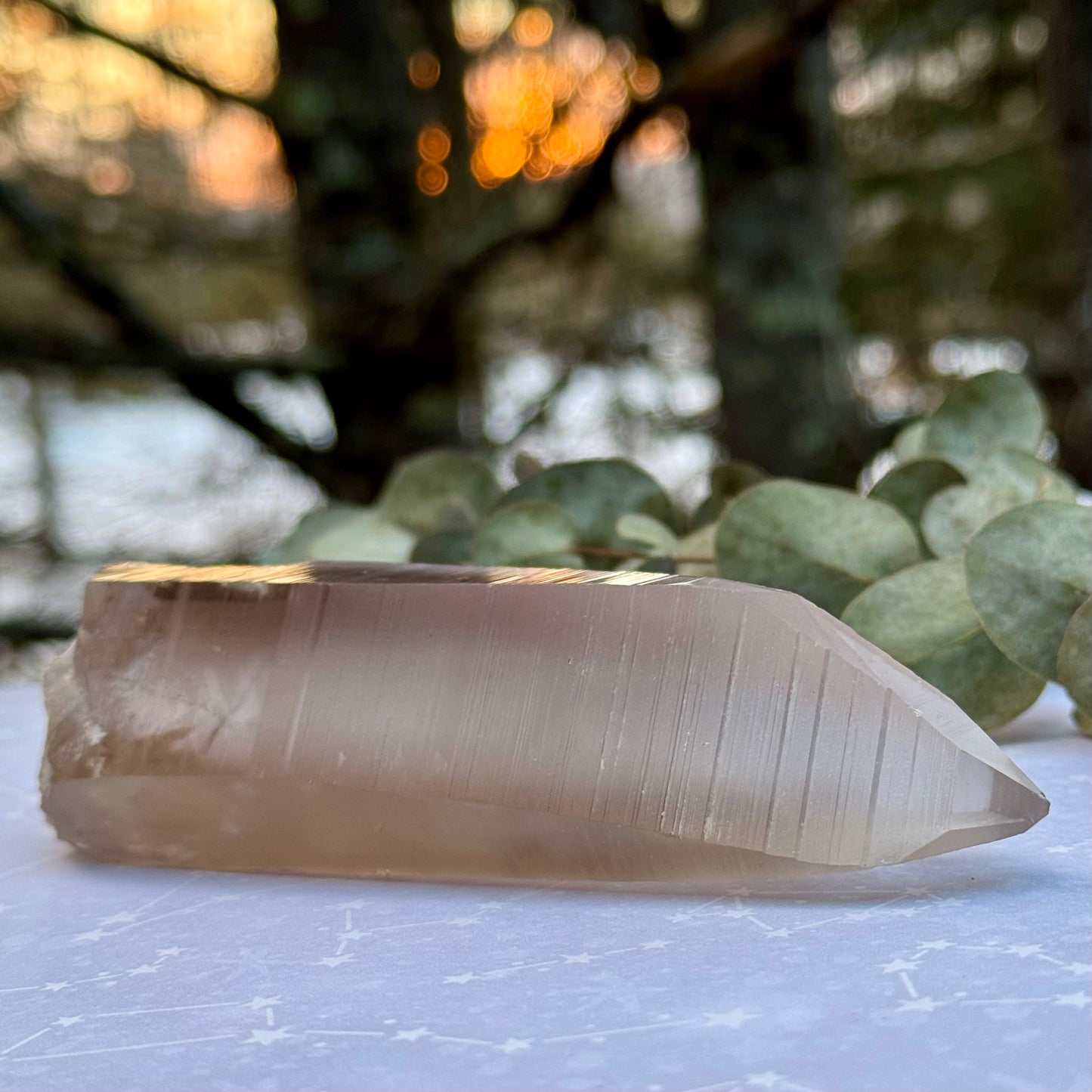 Smoky Lemurian Seed Crystal Wand