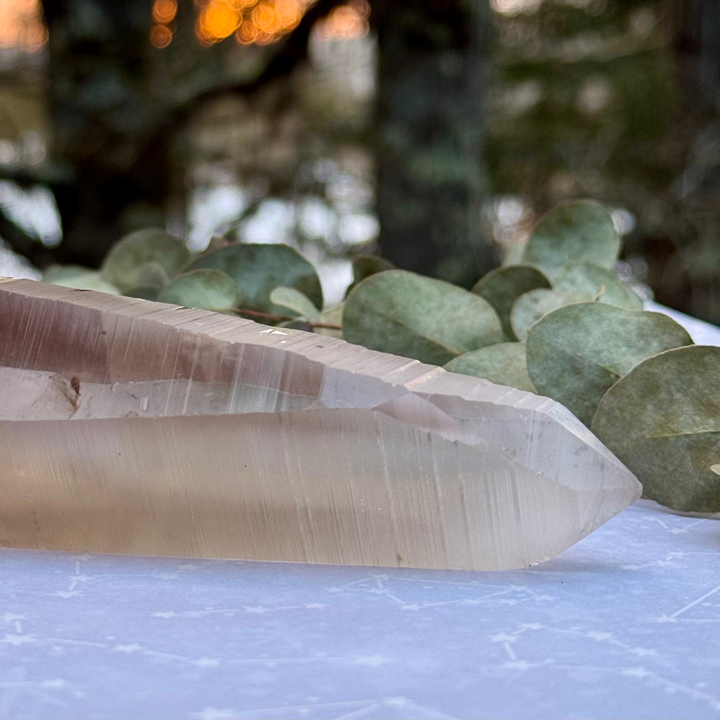 Smoky Lemurian Seed Crystal Wand