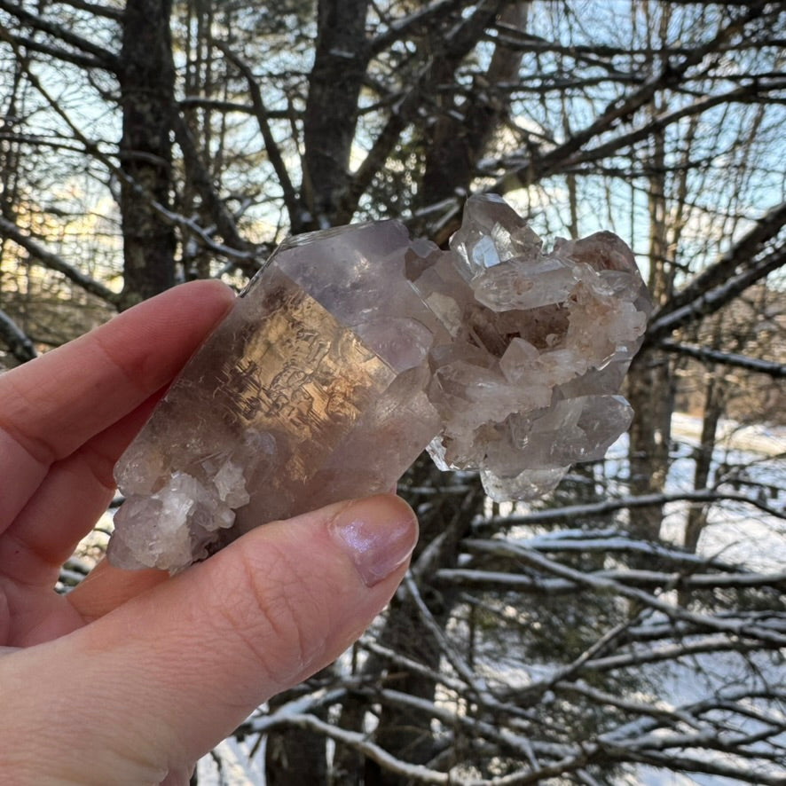 Smoky Lodalite Stunning Cluster Crystal