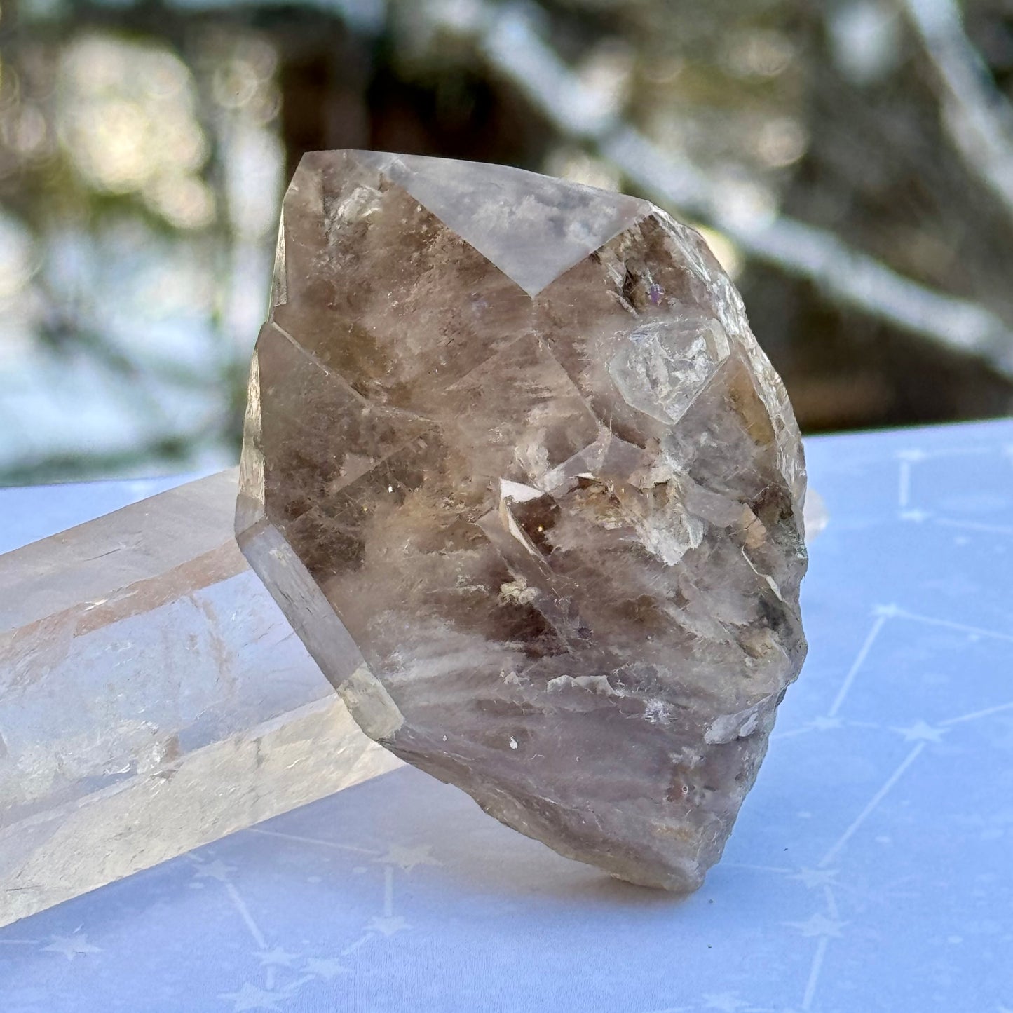 Experience the calming and grounding energy of Smoky Lodalite