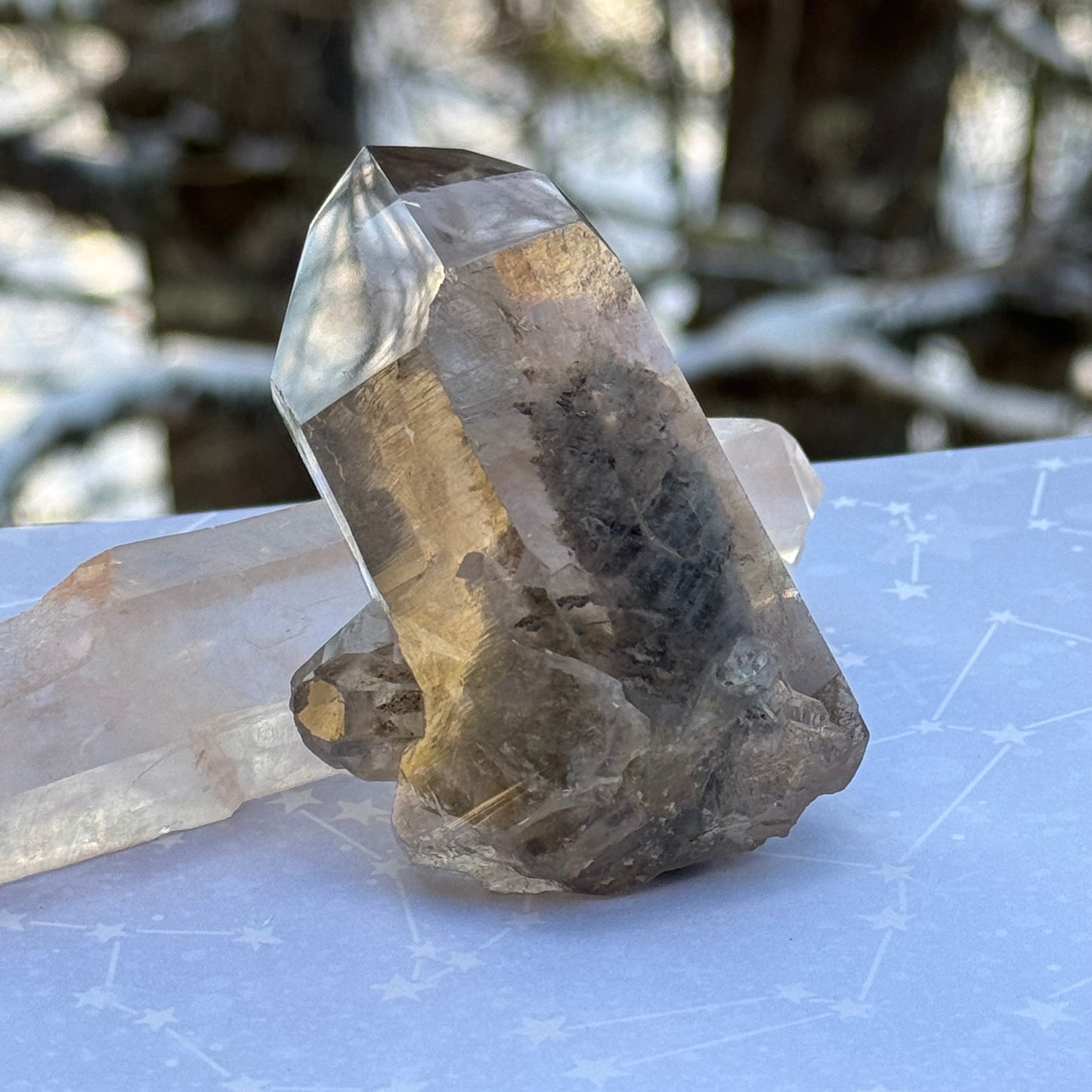 Smoky Lodalite Garden Quartz Crystal