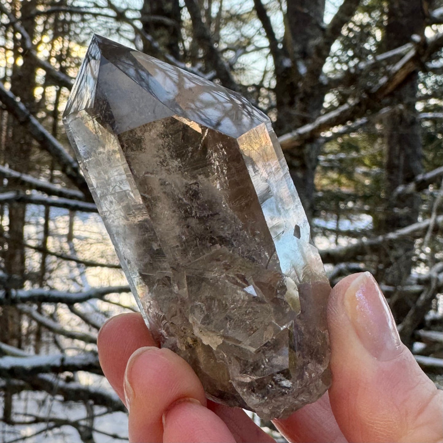 Smoky Lodalite Garden Quartz Crystal