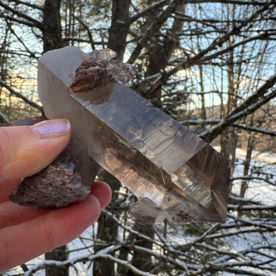 Smoky Lodalite Large Point Cluster