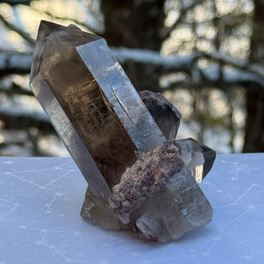 Smoky Lodalite Large Point Cluster