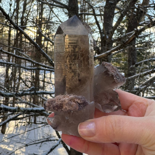 large smoky sodalite garden quartz raw natural Brazilian point 