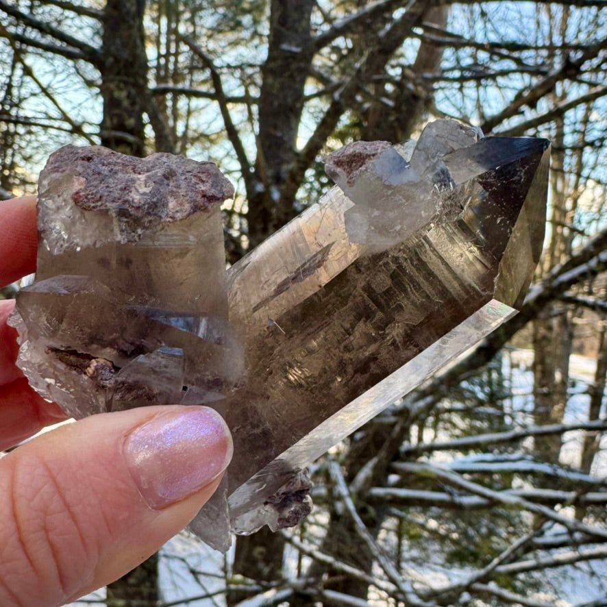 Smoky Lodalite Large Point Cluster