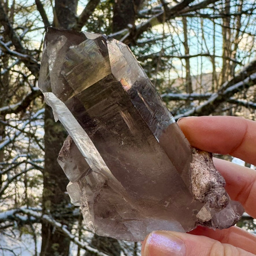 Smoky Lodalite Large Point Cluster