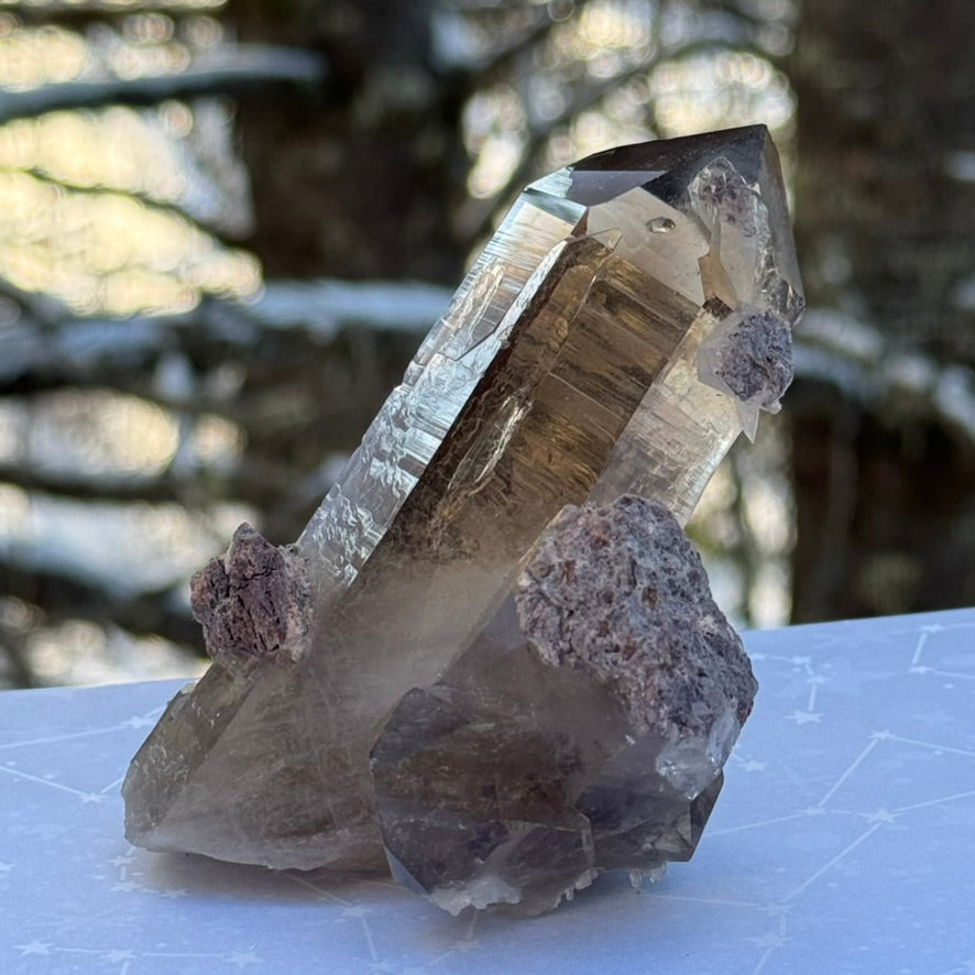 Smoky Lodalite Large Point Cluster