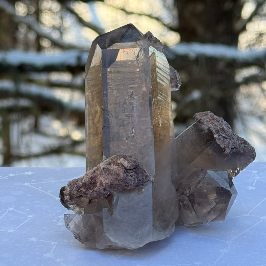 Smoky Lodalite Large Point Cluster