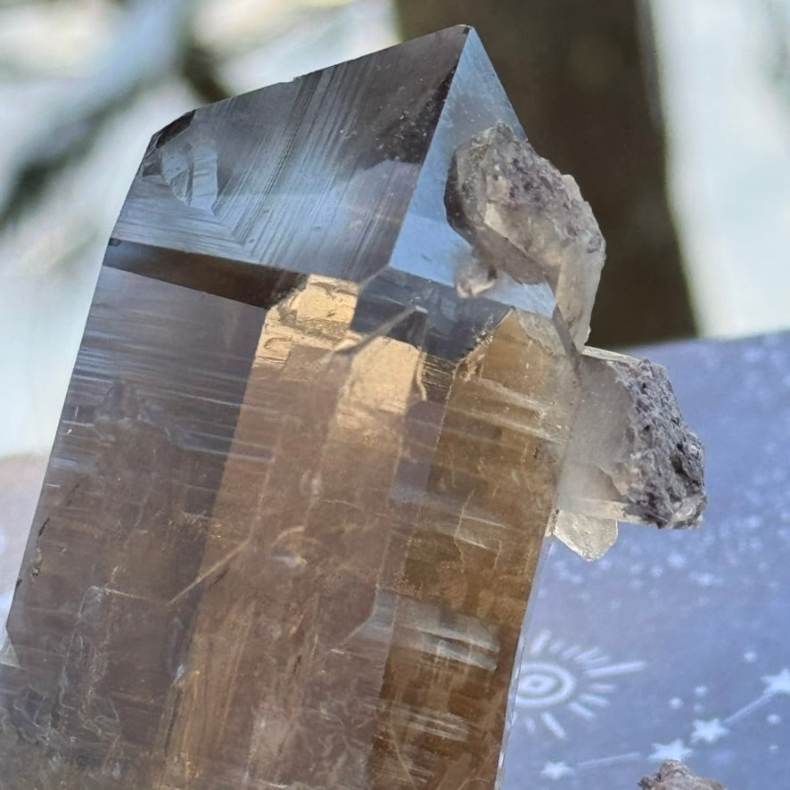 Smoky Lodalite Large Point Cluster