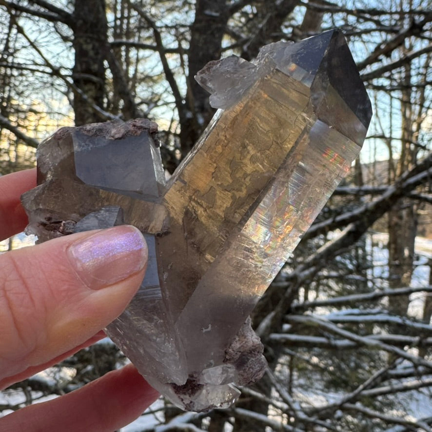 Smoky Lodalite Large Point Cluster