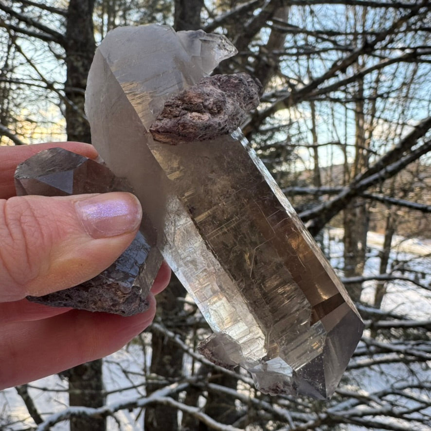 Smoky Lodalite Large Point Cluster