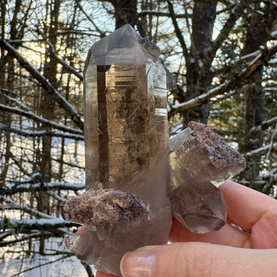 Smoky Lodalite Large Point Cluster