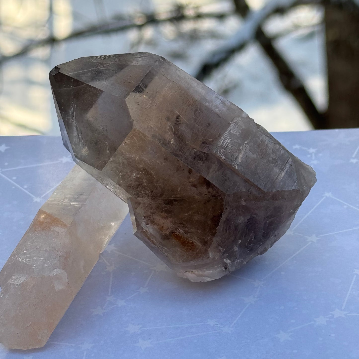 Smoky Lodalite Large Point