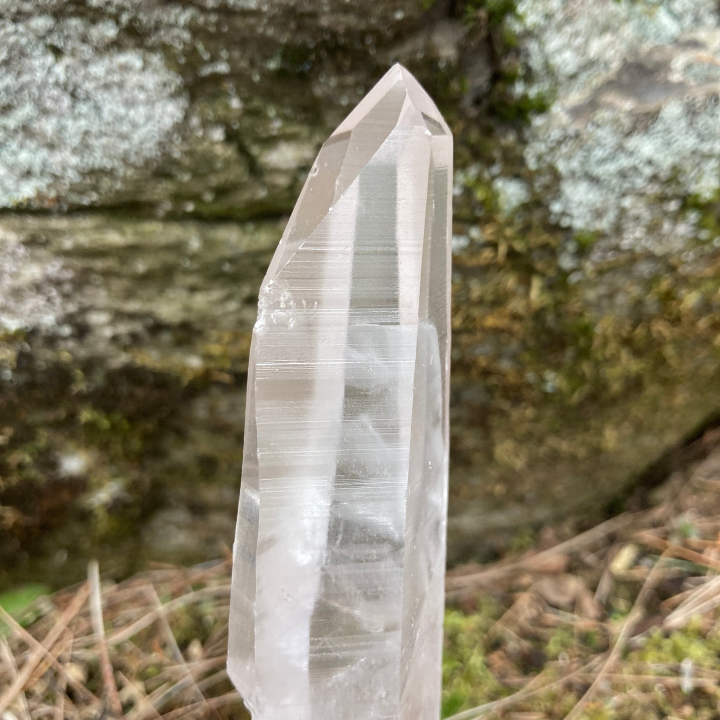 Rhythmic Lemurian Seed Clear Quartz Crystal Point
