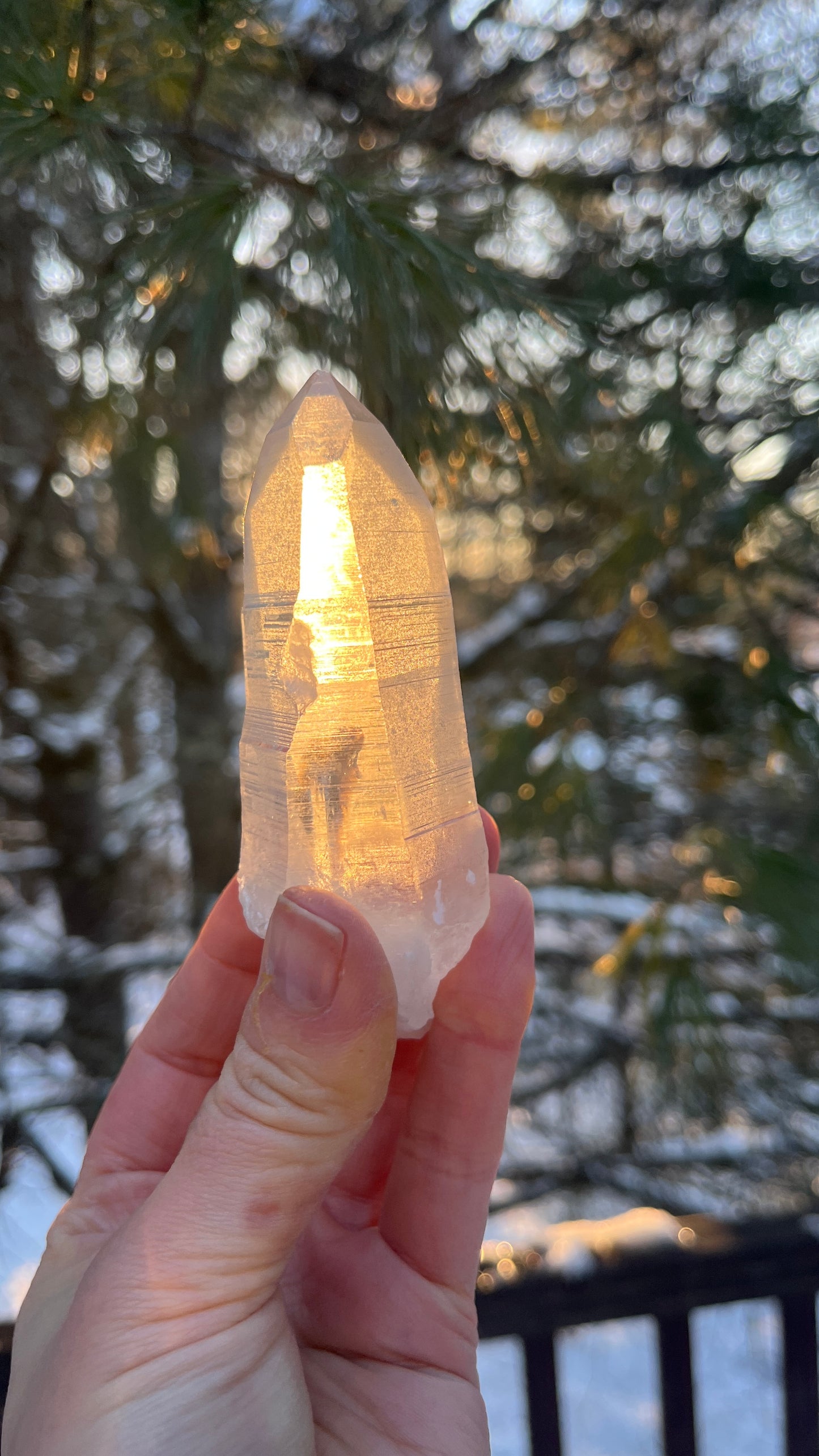 Garden Quartz Crystal Point