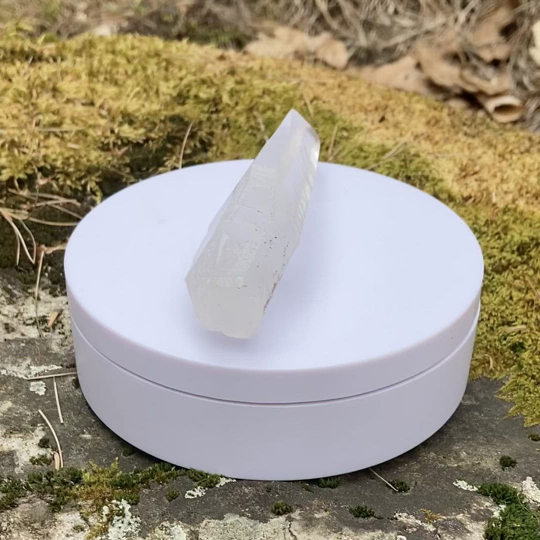 Stunning Lemurian Seed Quartz Crystal