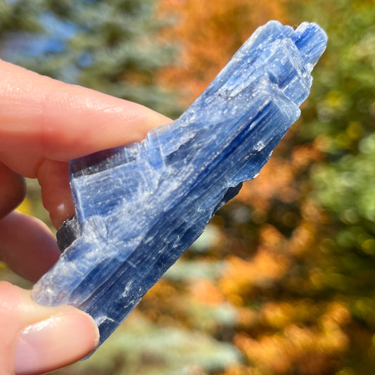 Small Blue Kyanite