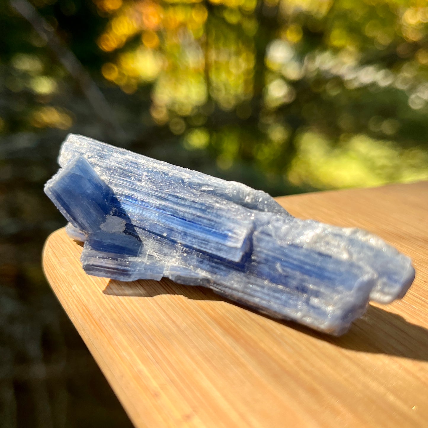 Small Blue Kyanite