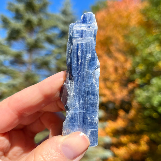 Small Blue Kyanite