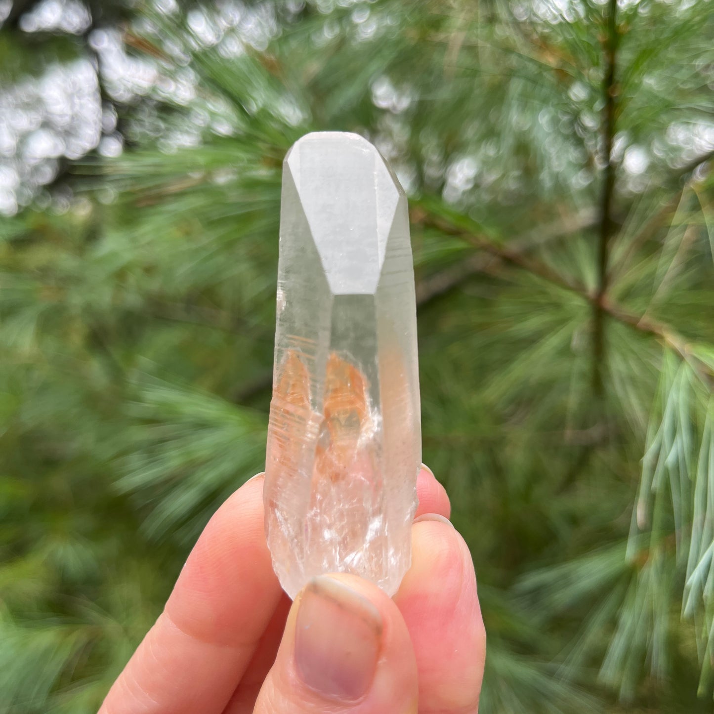 Peaceful Point Lemurian Seed Quartz Crystal