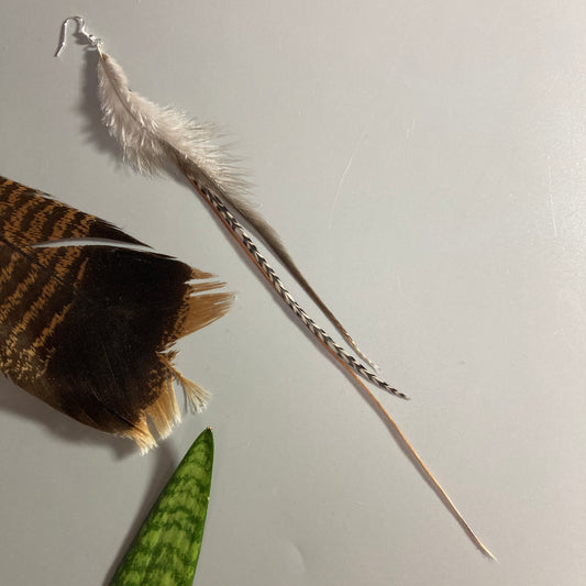 feather earrings natural brown
