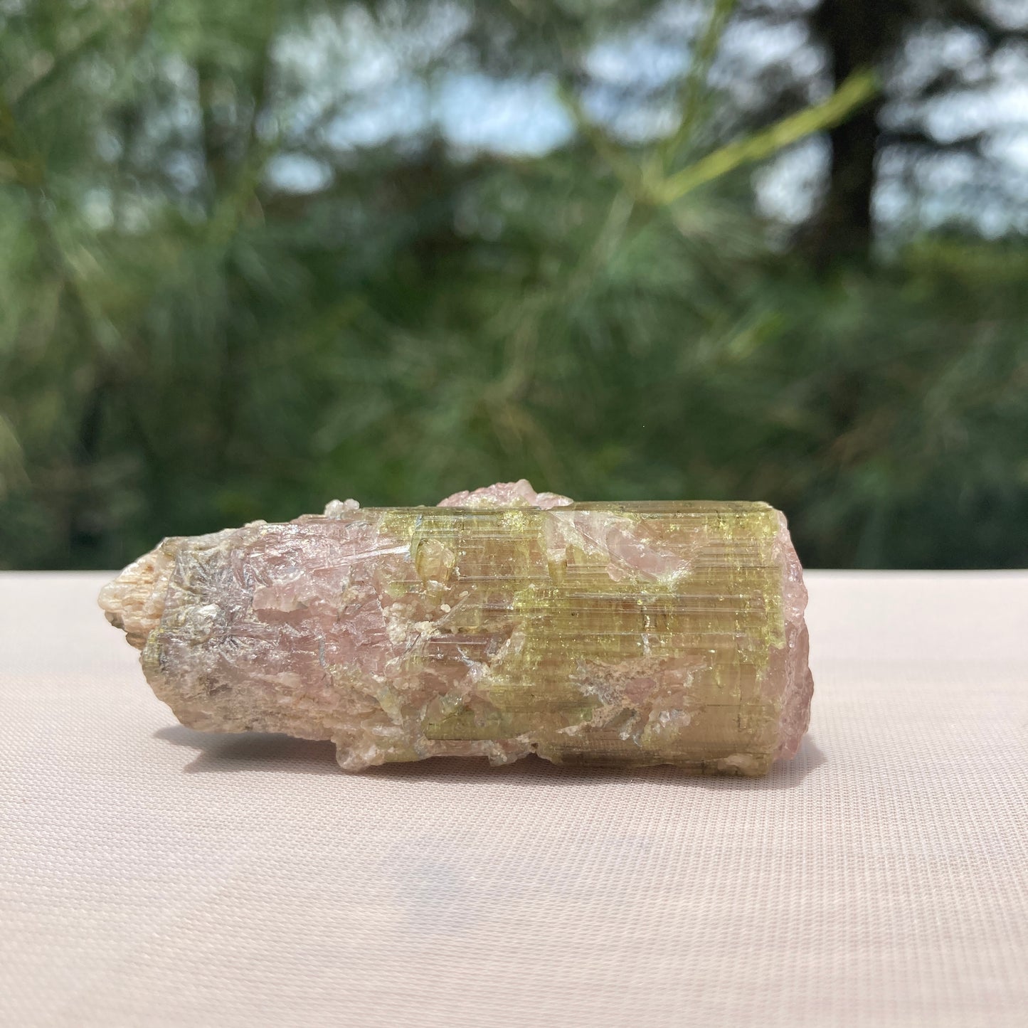 Heart Centered Watermelon Tourmaline Crystal