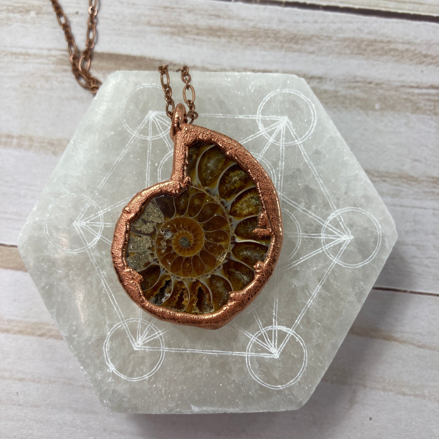 Ancient Ocean Necklace Electroformed Copper Real Natural Ammonite