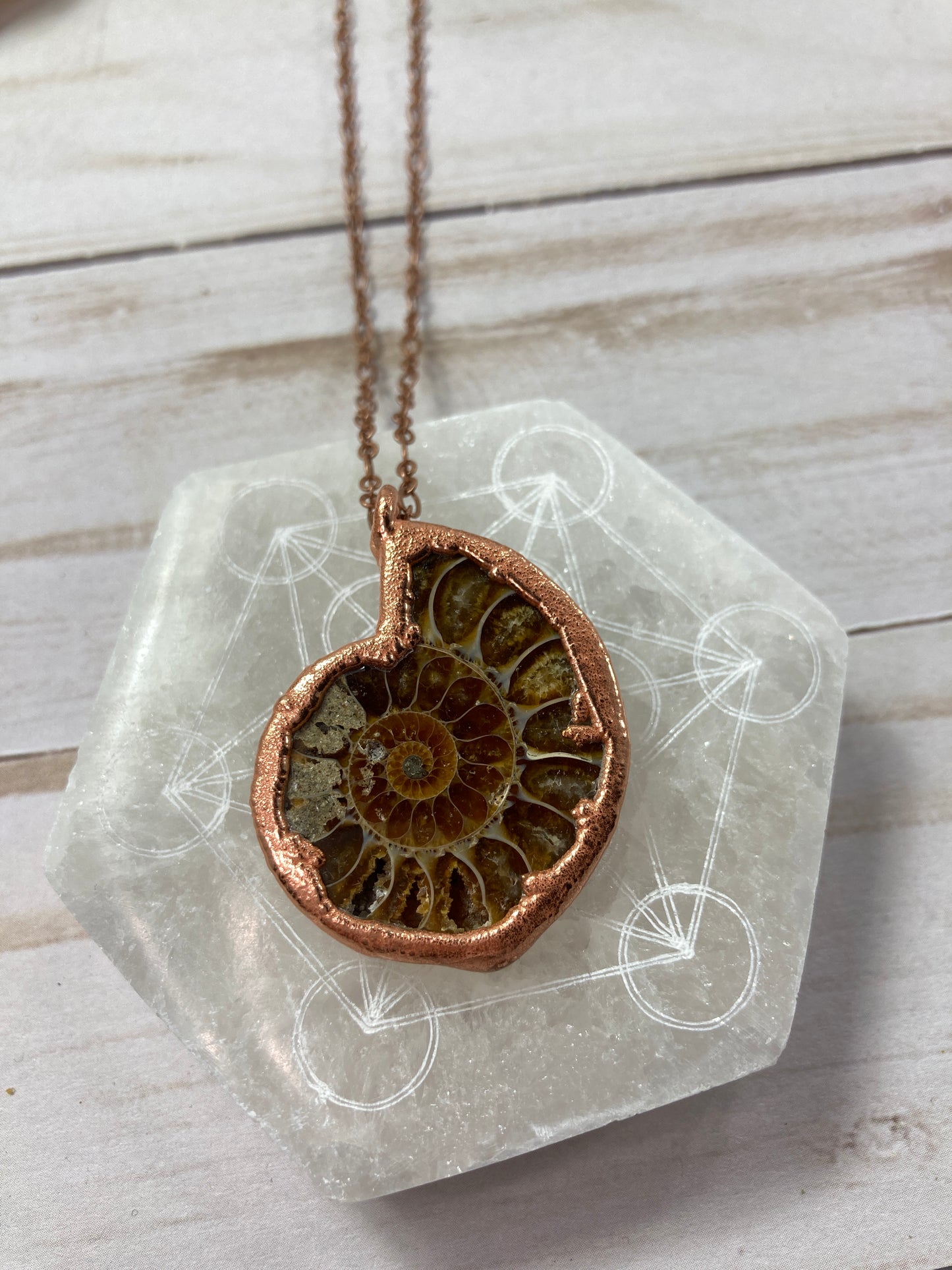 Ancient Ocean Necklace ۞ Electrofomed Ammonite Fossil Necklace