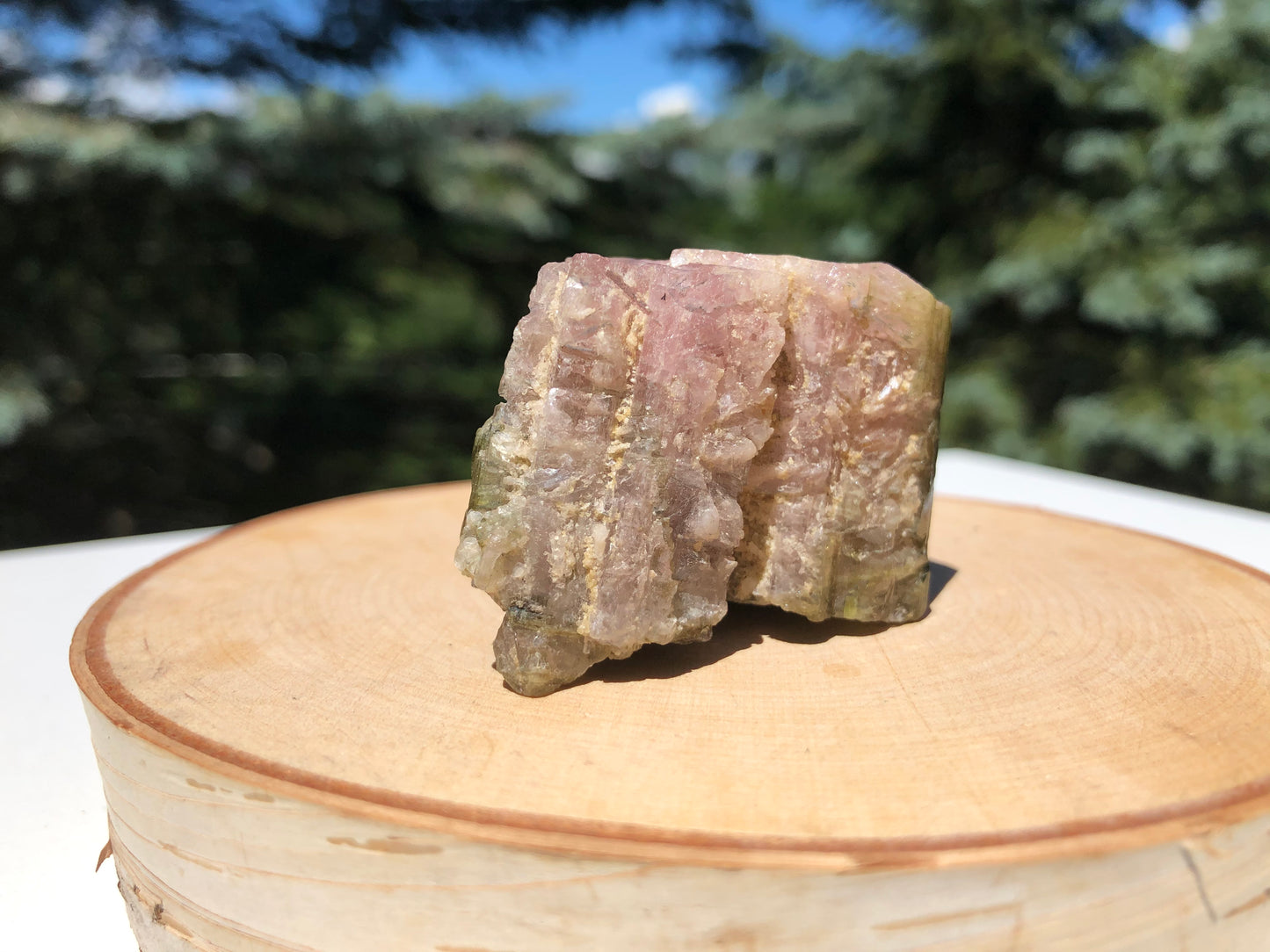 Watermelon Pink and Green Tourmaline Crystal