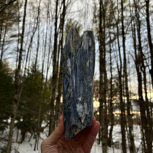 Large Blue Kyanite Show Piece w/ Citrine + Quartz