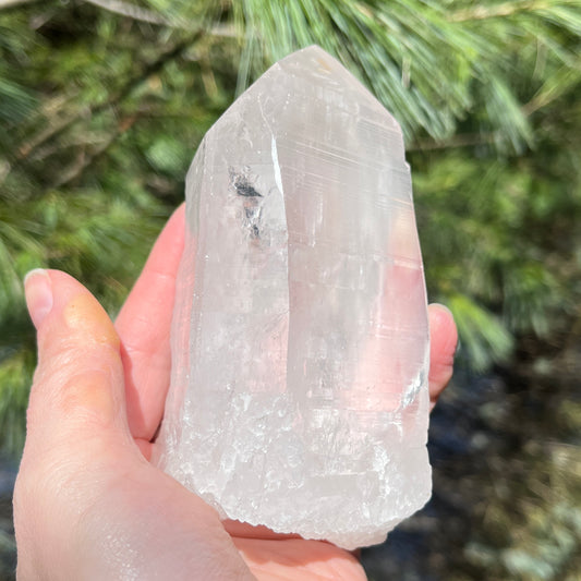 5 Inch Lemurian Seed Quartz