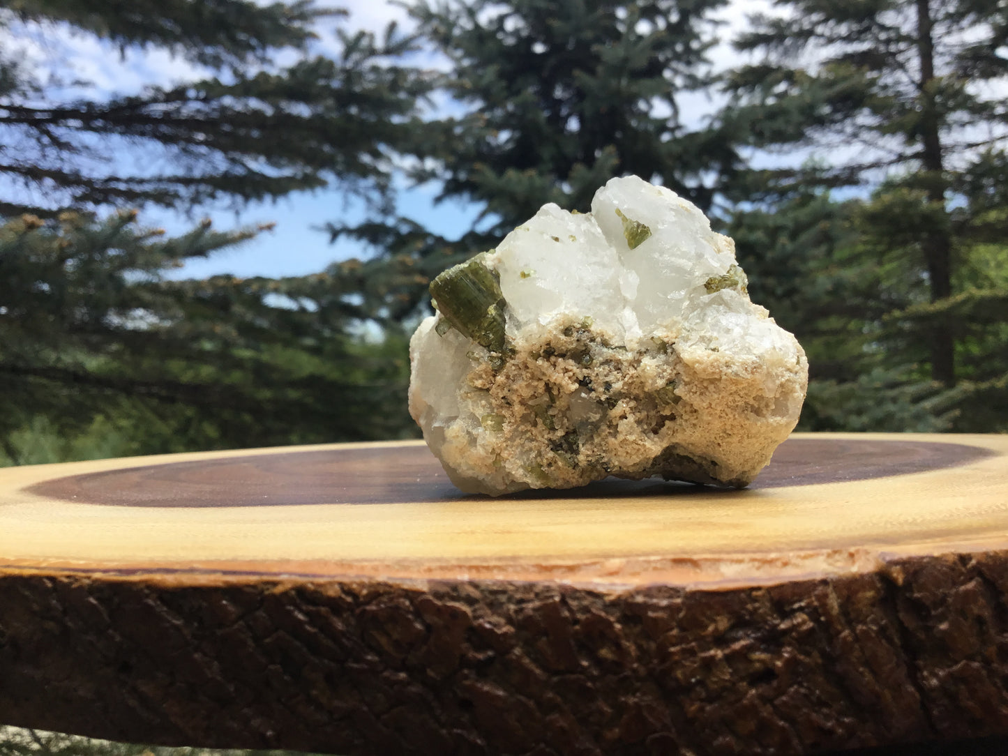 Watermelon Tourmaline in Matrix Specimen